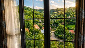 Une fenêtre donnant sur un paysage verdoyant, avec des maisons et une route.