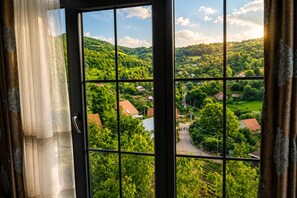 A window with a view of a green landscape with houses and a road.