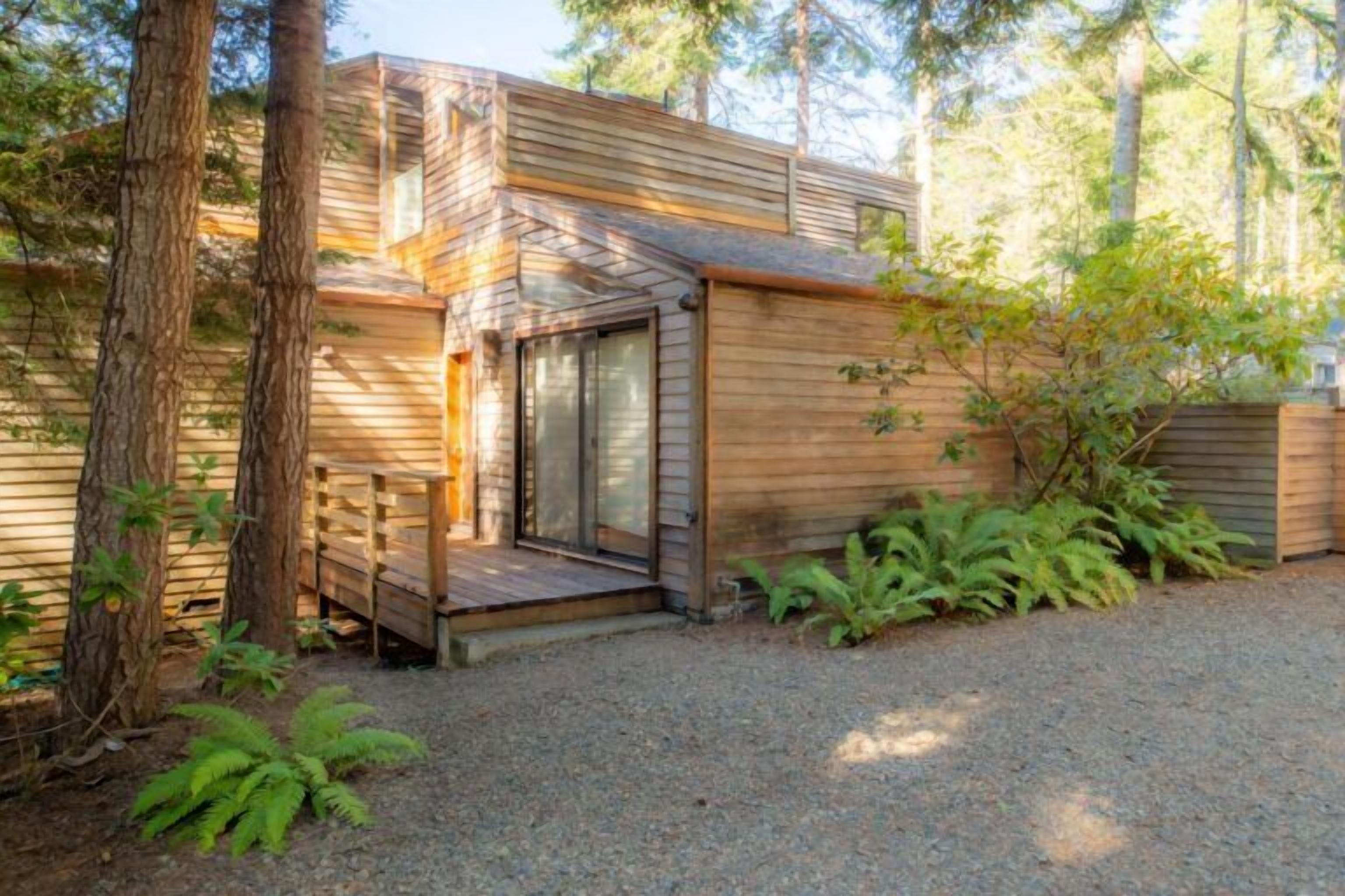 A modern wooden cabin with a covered porch, surrounded by trees and ferns.
