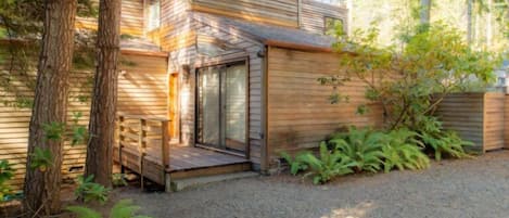 A modern wooden cabin with a covered porch, surrounded by trees and ferns.