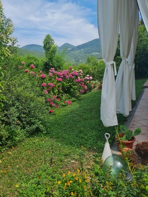 A garden with a variety of plants and a white structure with curtains.