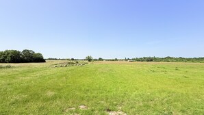 Un extenso campo cubierto de hierba bajo un cielo despejado.