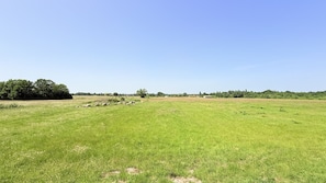 Unclassified image, 3 of 16, button