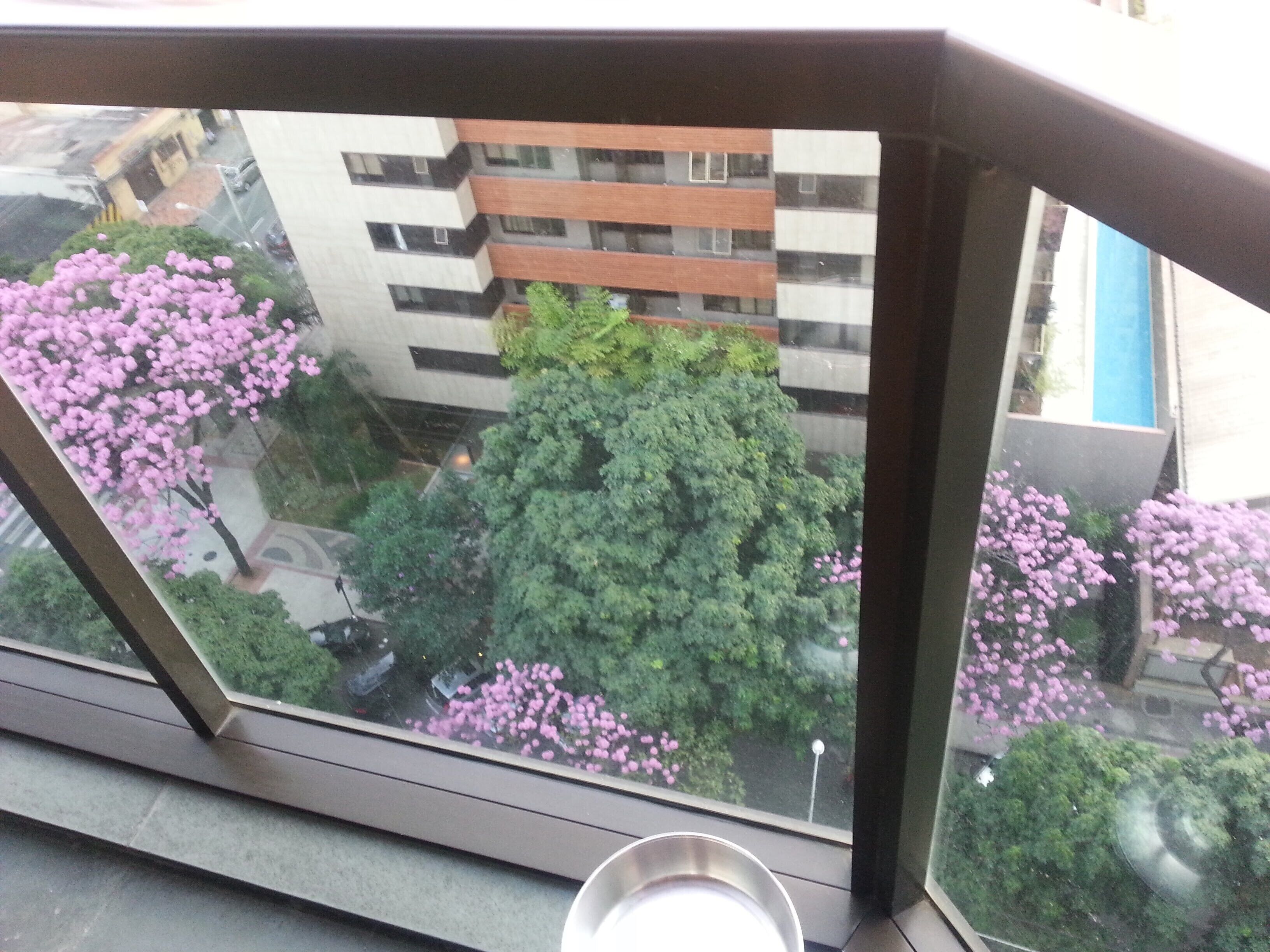 A window with a view of a multi-story building, a tree, and a metal bowl on the sill.