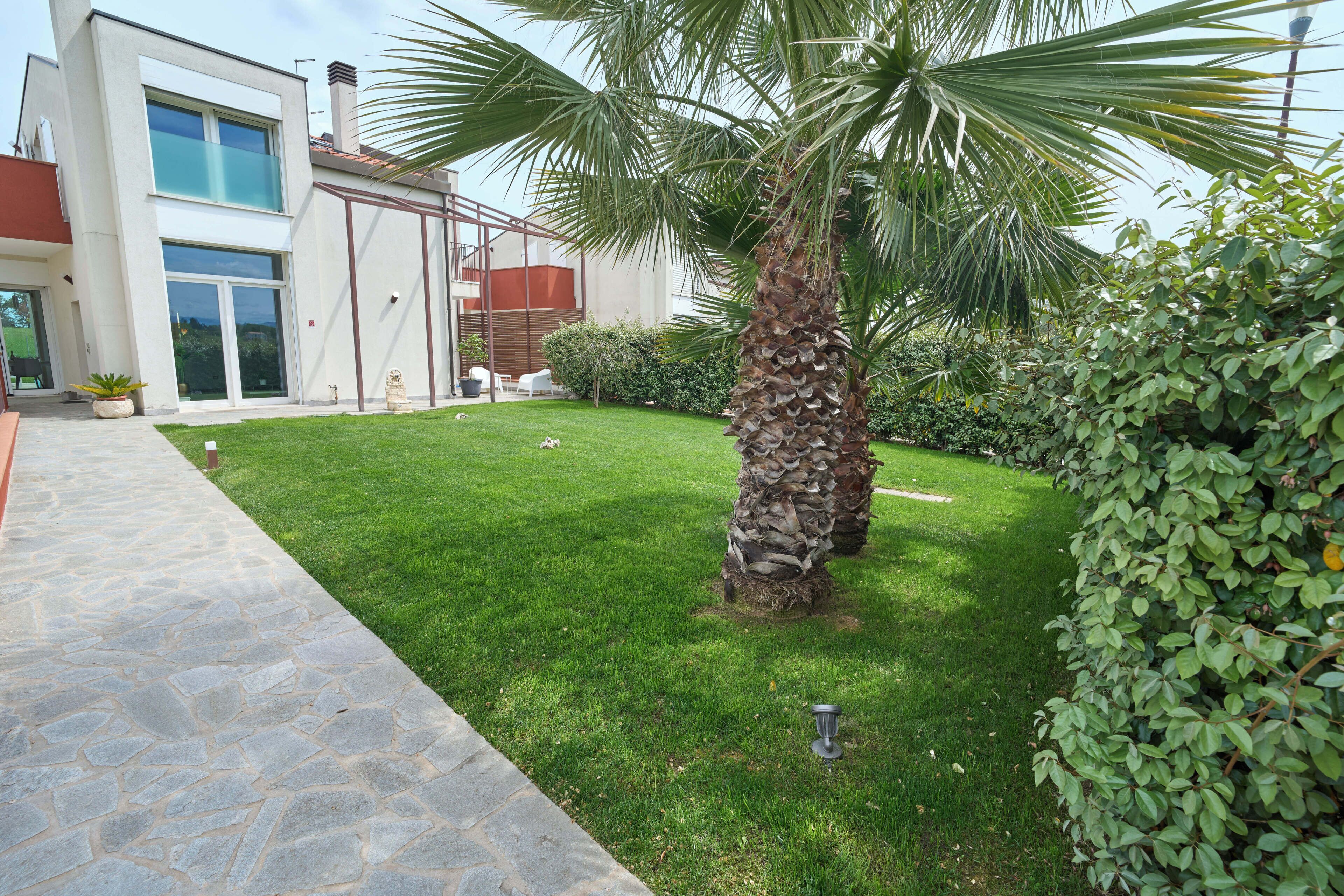 A modern building with a stone pathway leading to a well-maintained lawn and a palm tree.