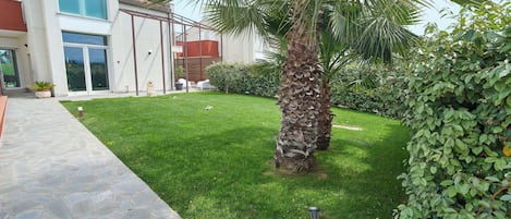Un edificio moderno con un sendero de piedra que conduce a un césped cuidado y una palmera.