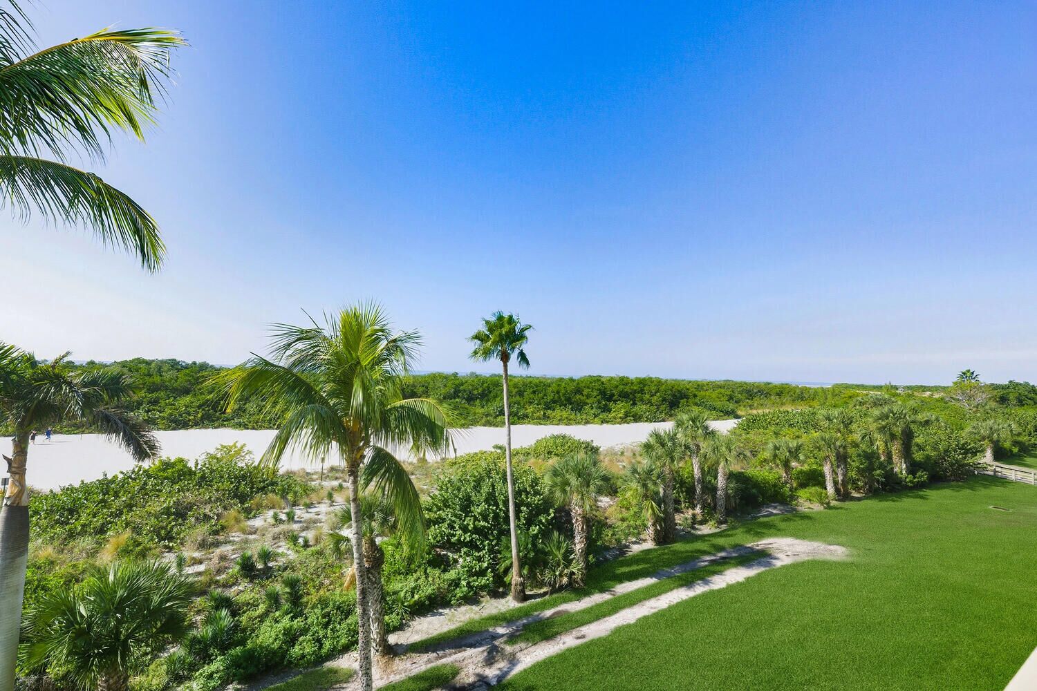A lush landscape with palm trees, a grassy area, and a view of a beach and water body.