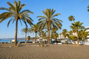 A beach with palm trees, a sandy area, and buildings in the background.
