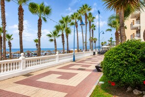A seaside promenade with palm trees, a white balustrade, and a view of the ocean.