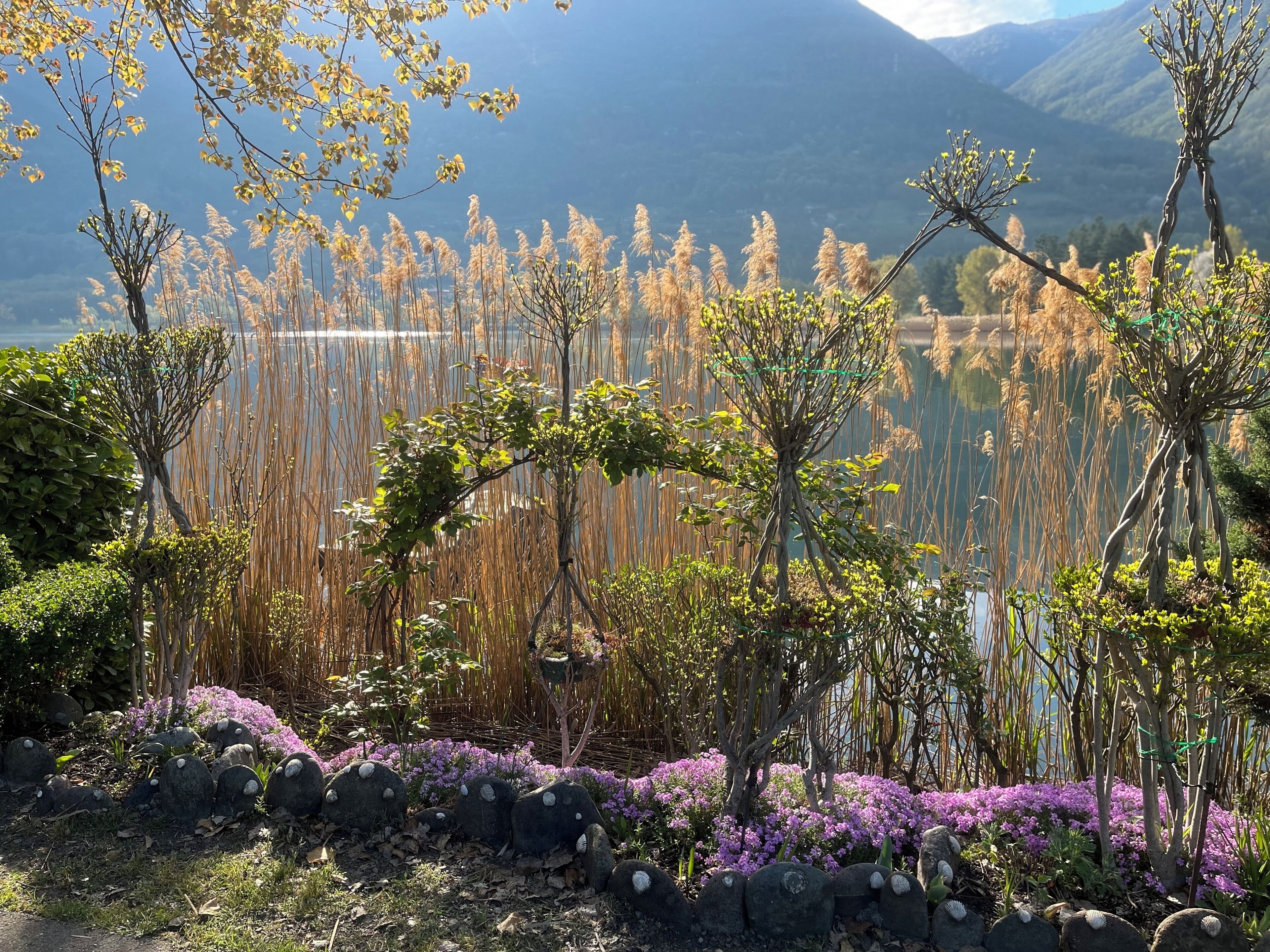 Un jardin où l’on trouve une grande variété de plantes et un plan d’eau.