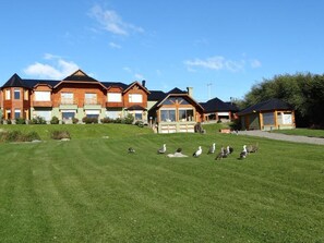 Un barrio residencial con varias casas, un césped cuidado y un grupo de pájaros en el pasto.