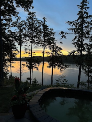 Una vista tranquila del lago con piscina y una planta en maceta.