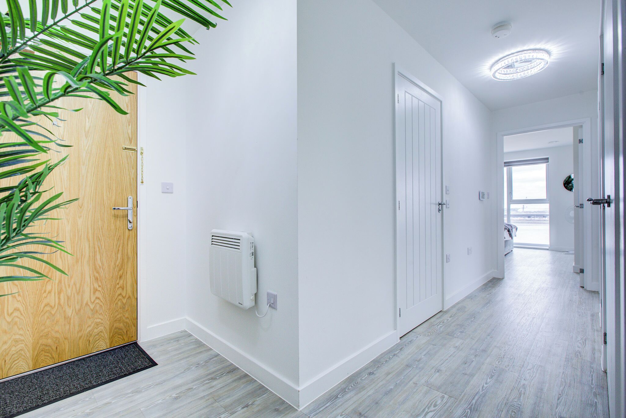 A hallway with white walls, a wooden door, a radiator, and a plant.