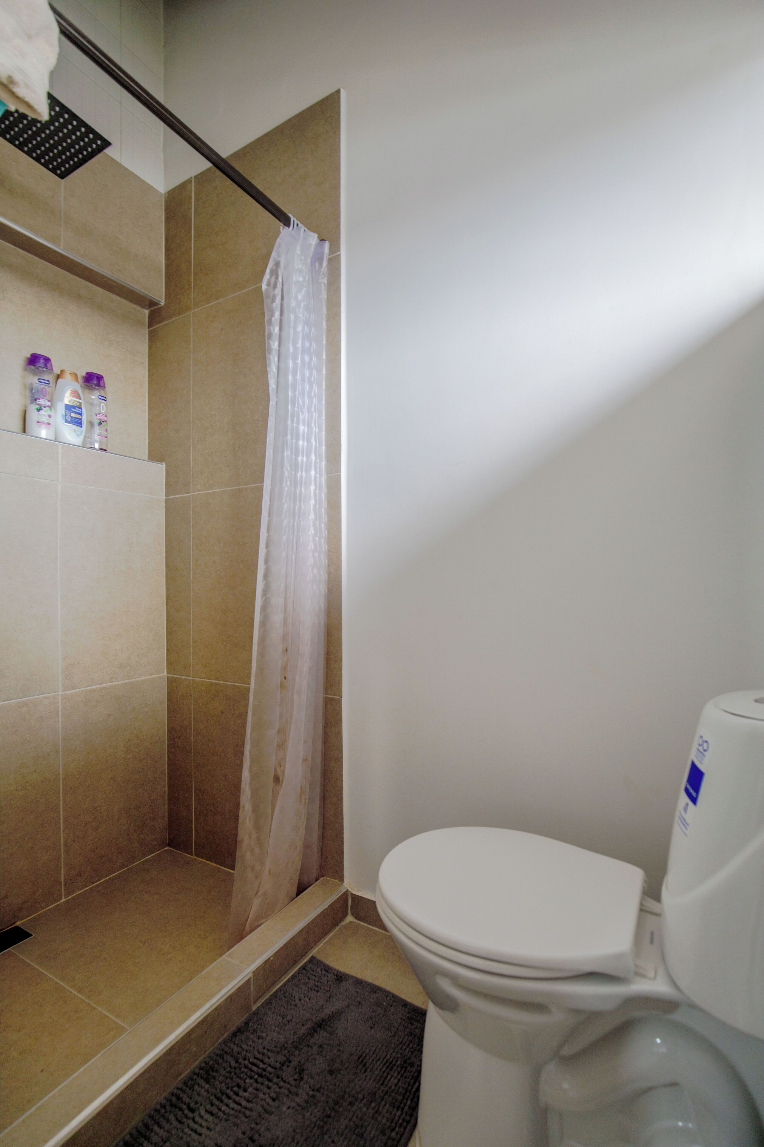 Casa de banho com chuveiro, sanita e um armário com produtos de higiene.