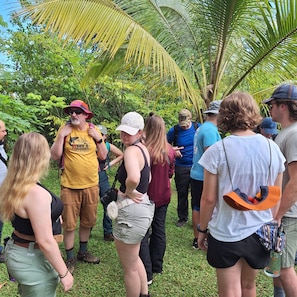 A group of people standing outdoors in a natural setting with greenery and palm trees.