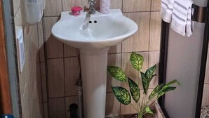 Un baño con lavamanos pedestal, puerta de madera, toallero y planta en maceta.