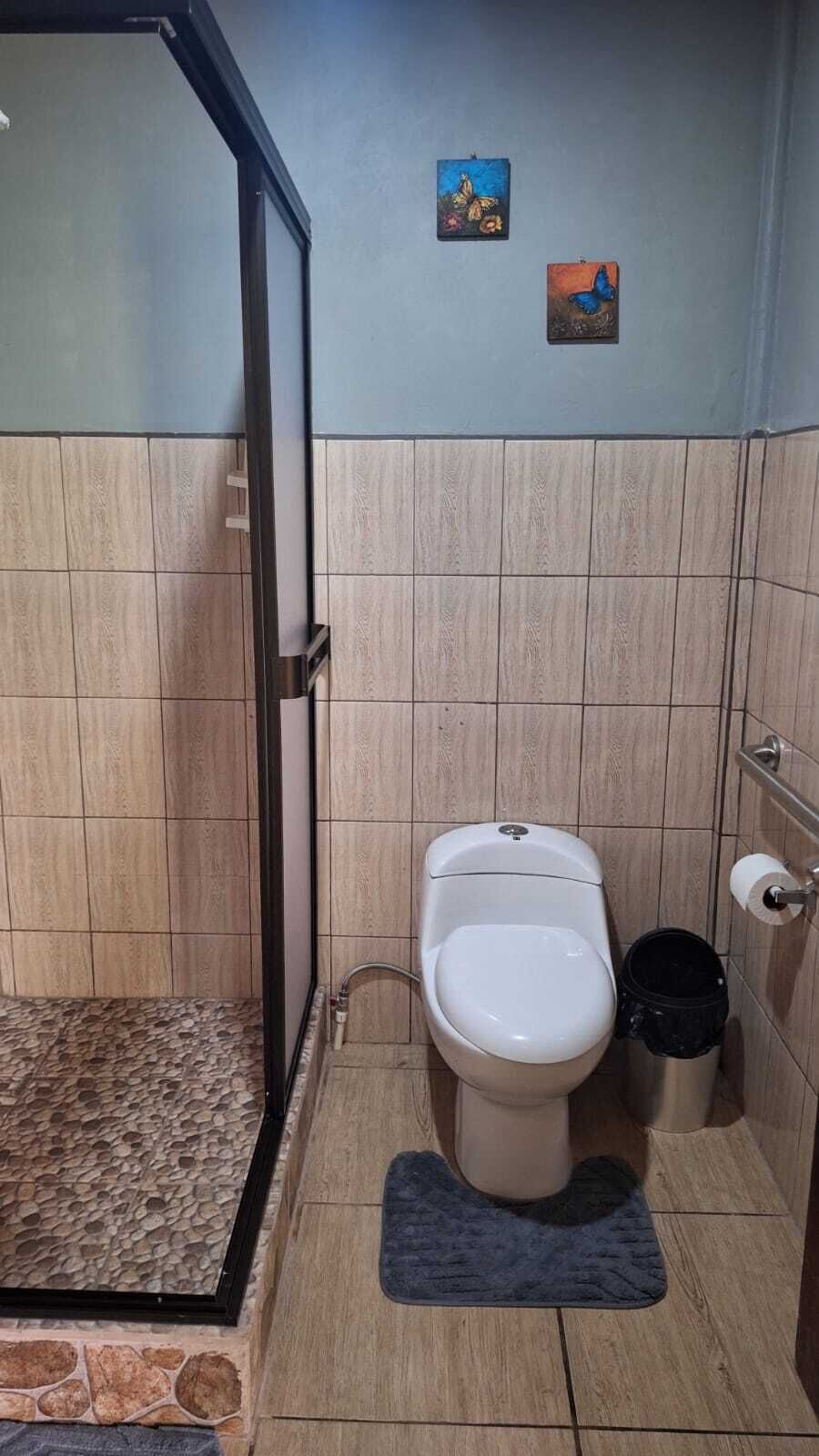 Regadera, toallas, jabón, shampoo 