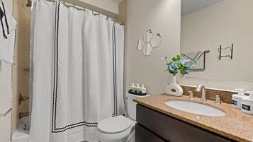 Secadora de cabello, toallas, papel de baño