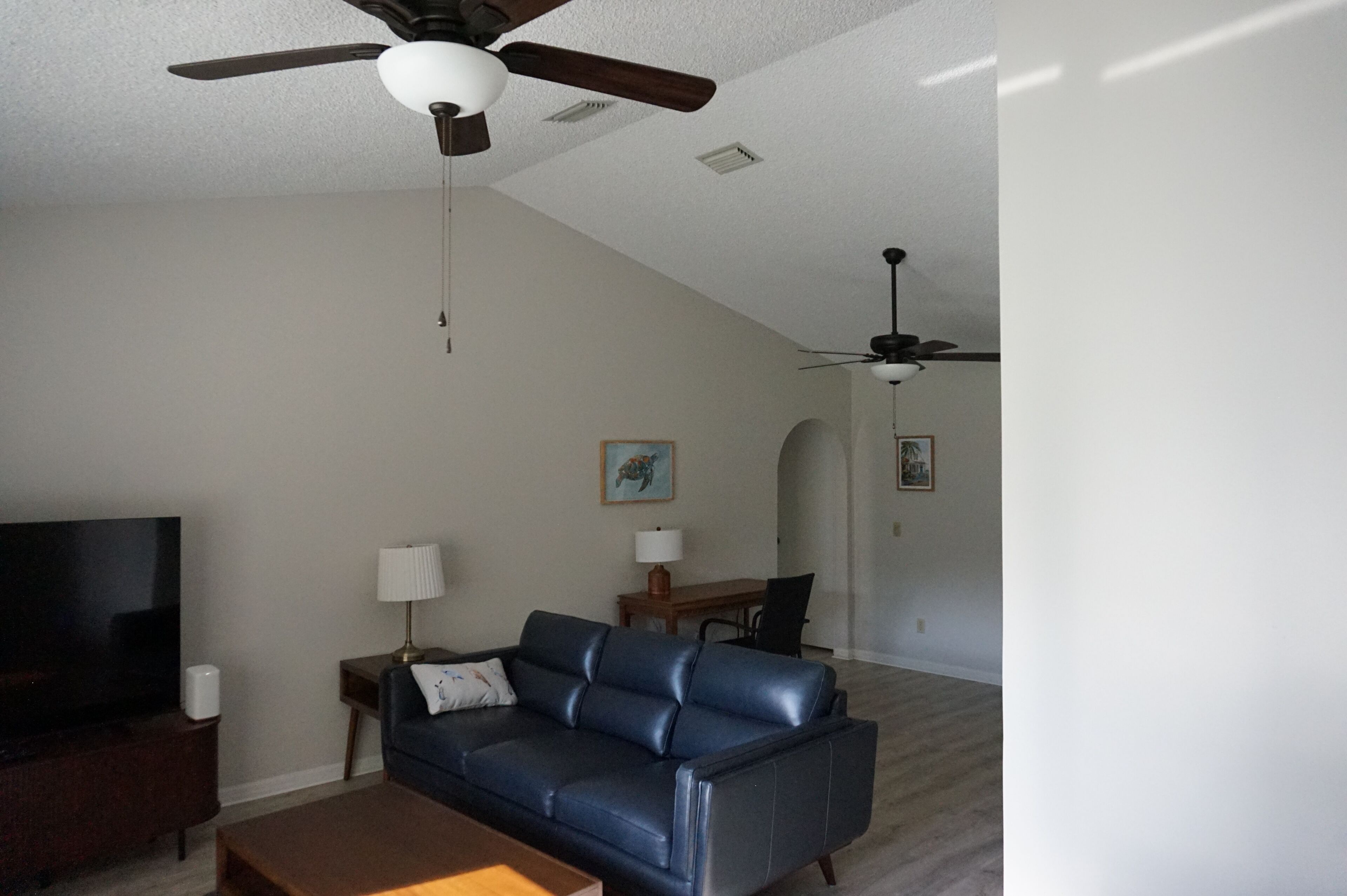 A living room with a dark blue leather sofa, a television, a lamp, and a ceiling fan.