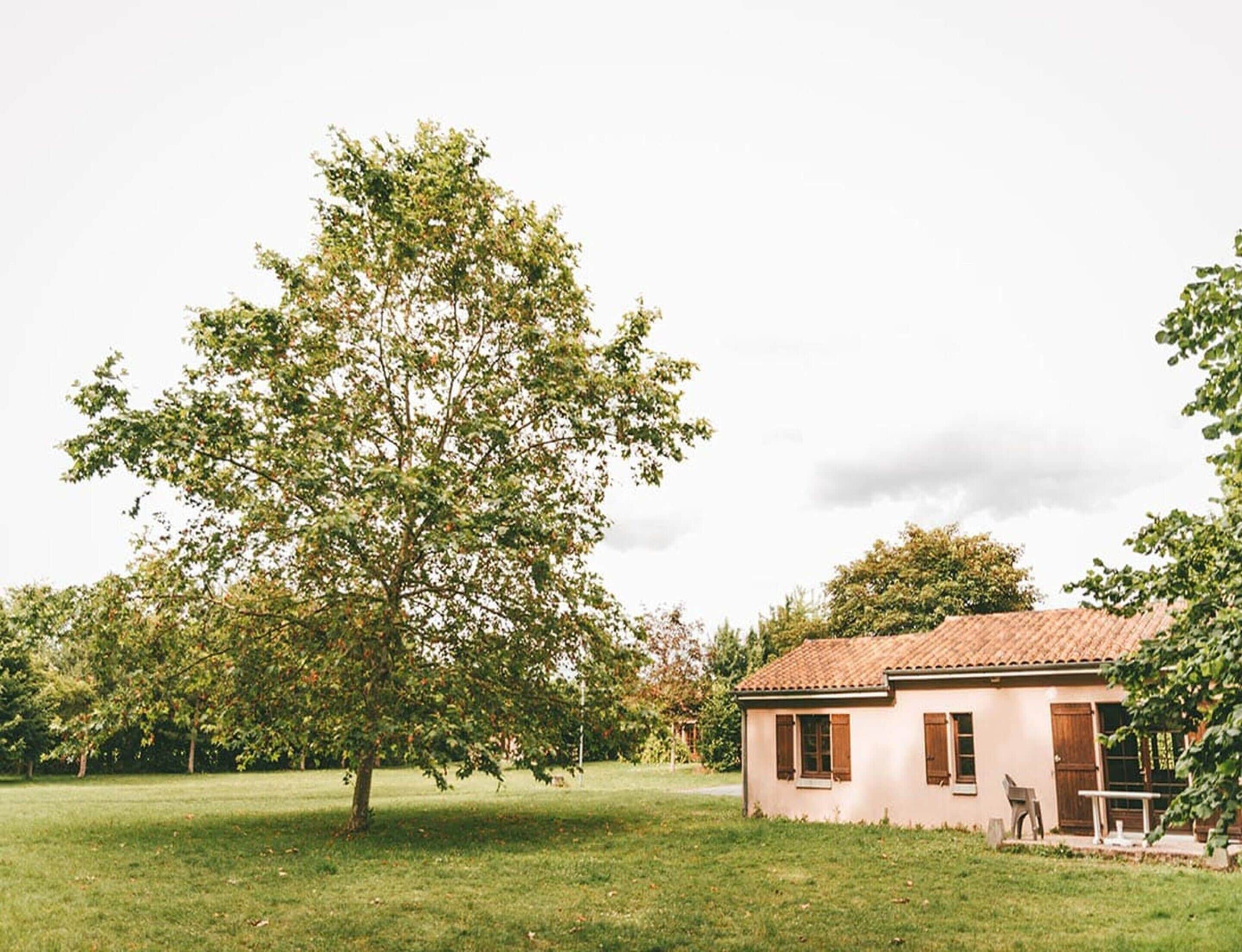 A single-story building with a tiled roof, a grassy lawn, and a large tree in the foreground.