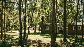 A forested area with several small cabins.