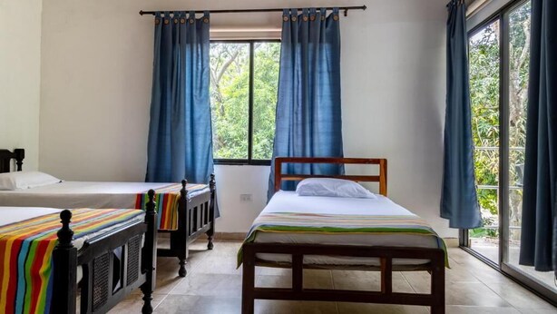 Una habitación con dos camas, una ventana con cortinas y vistas al verdor exterior.