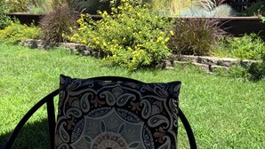 Un giardino con un cuscino decorato su una sedia, circondato da diverse piante e una recinzione in legno.