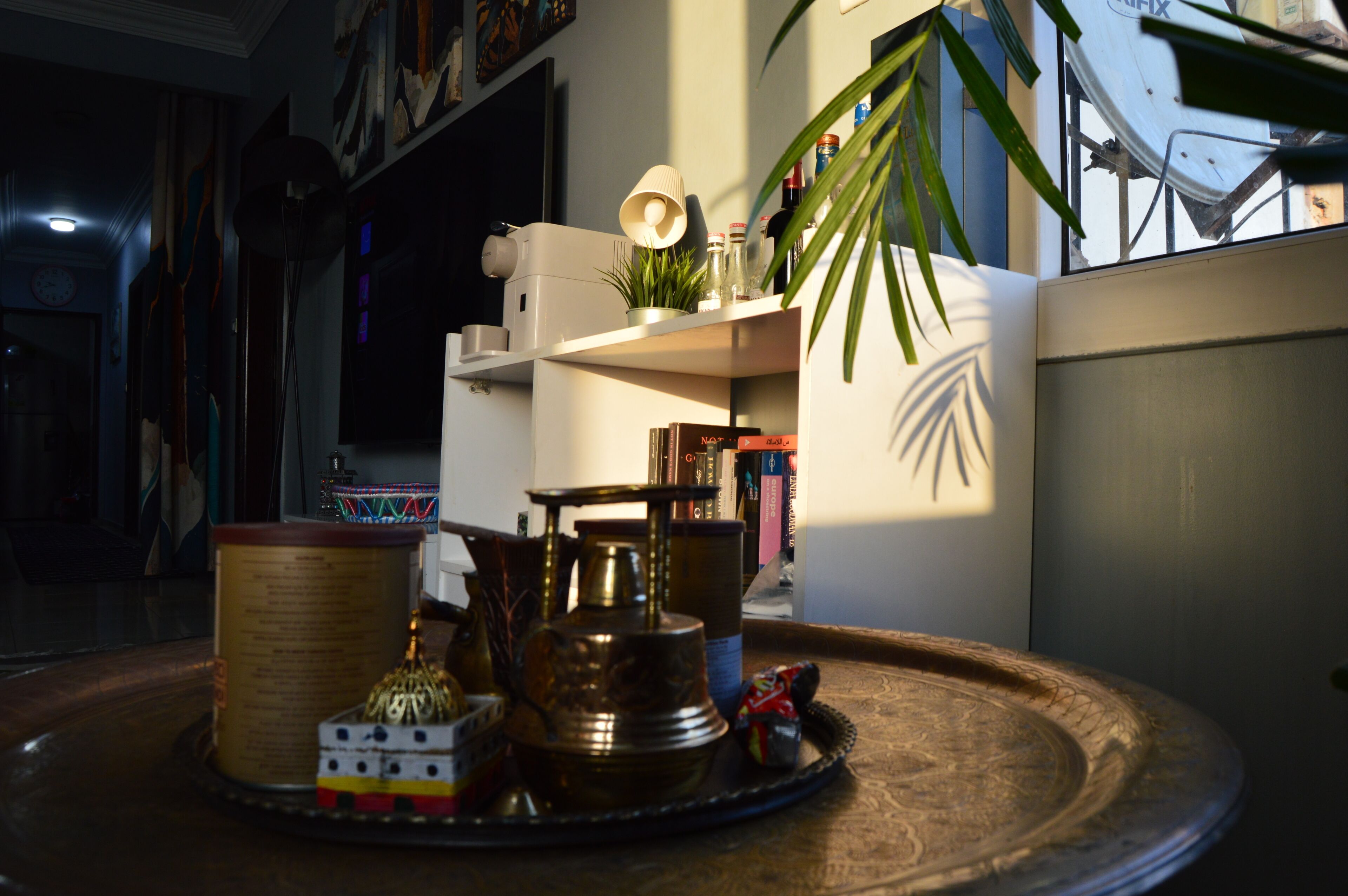 Une pièce avec une table ronde, une bibliothèque et une plante en pot.
