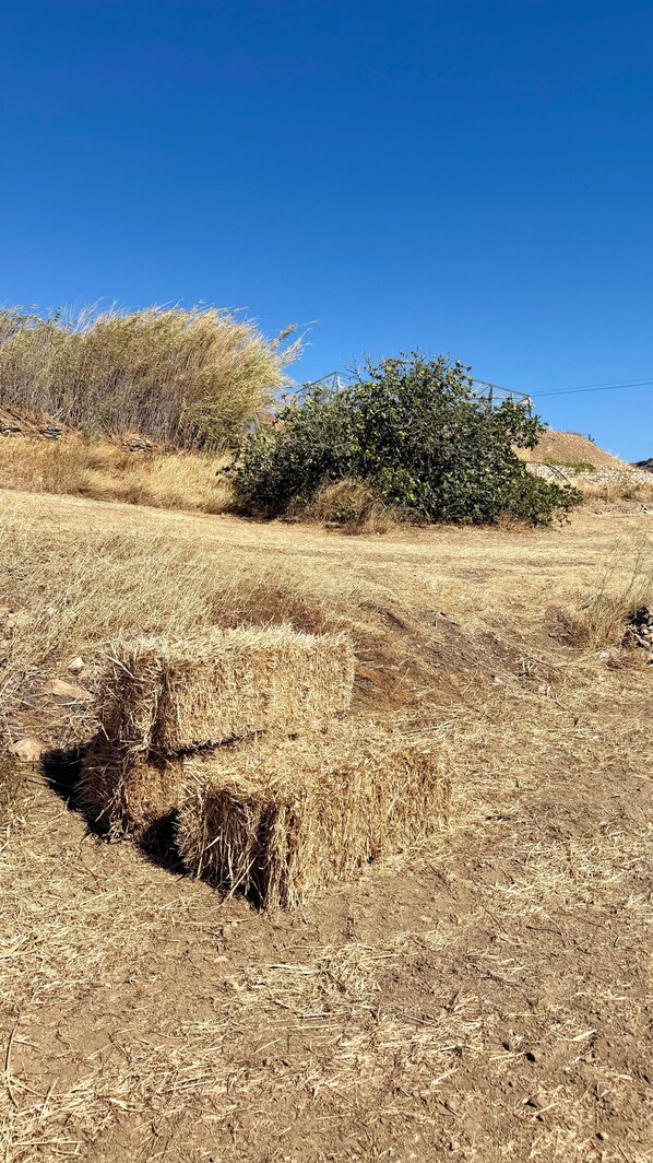 Unclassified image, 1 of 12, button - katikià cycladic farmhouse (Syros)