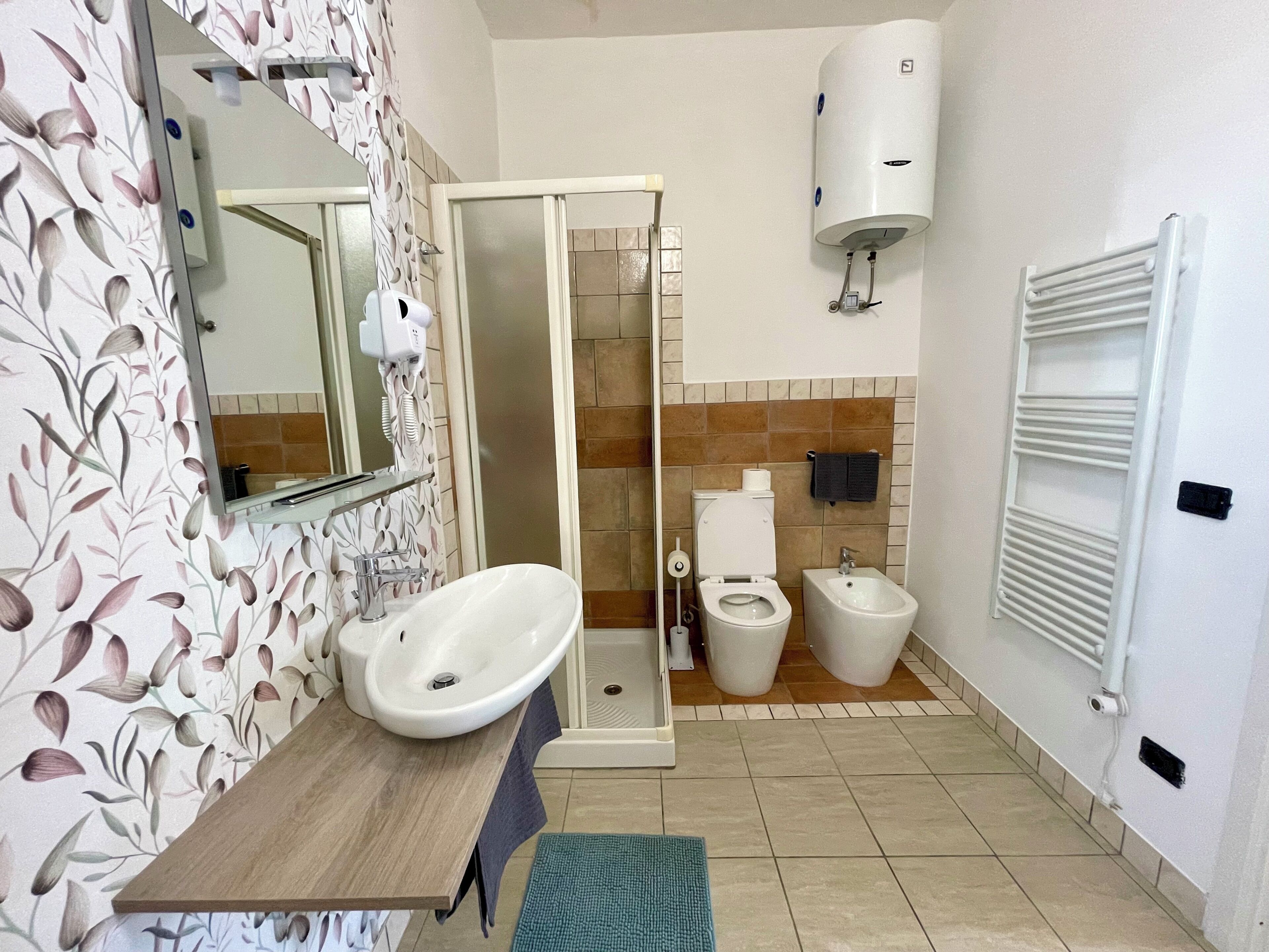 Shower, hair dryer, bidet, towels