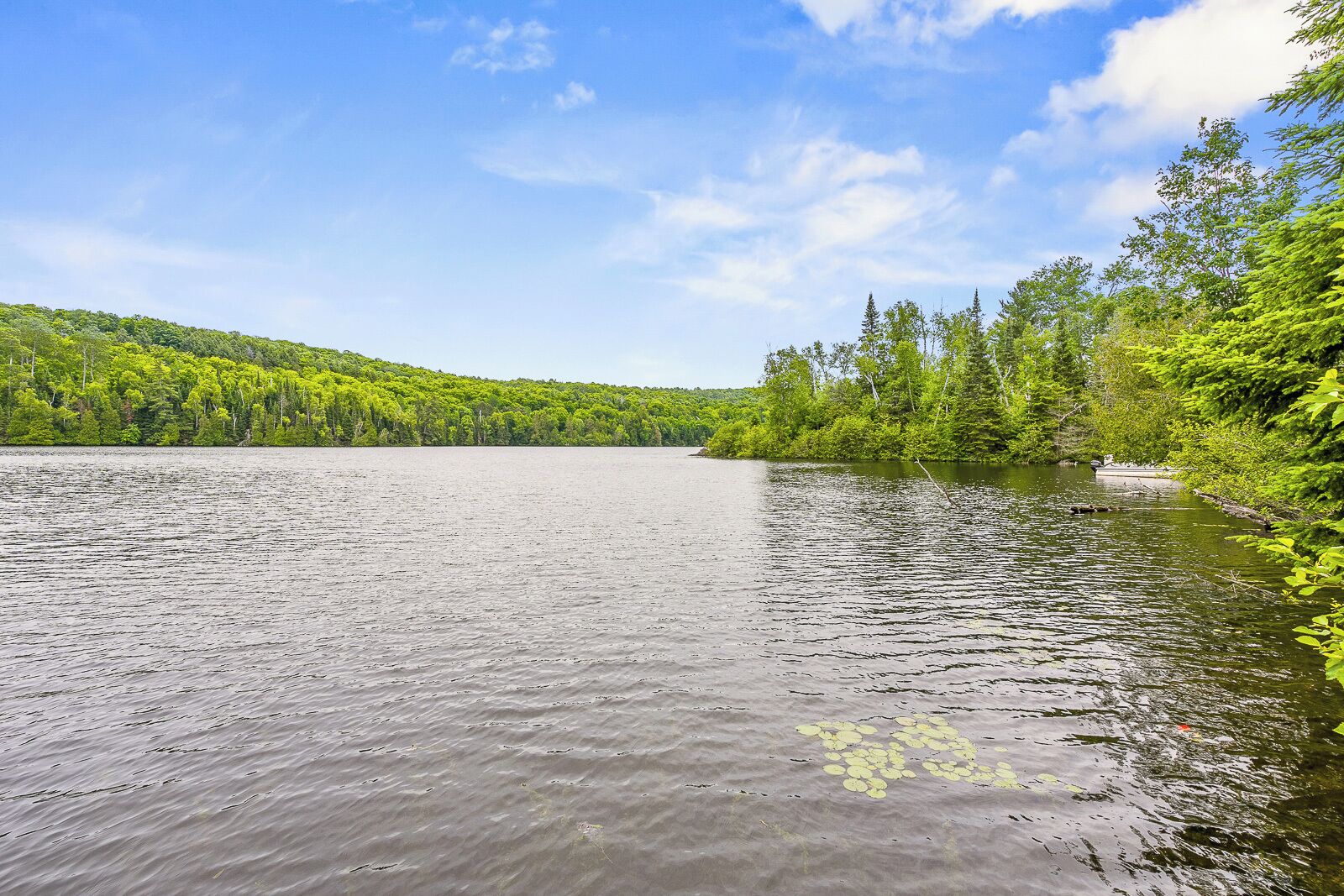 A calm lake surrounded by dense green forest.