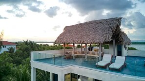 A rooftop infinity pool with lounge chairs, a thatched roof structure, and a view of the sea.