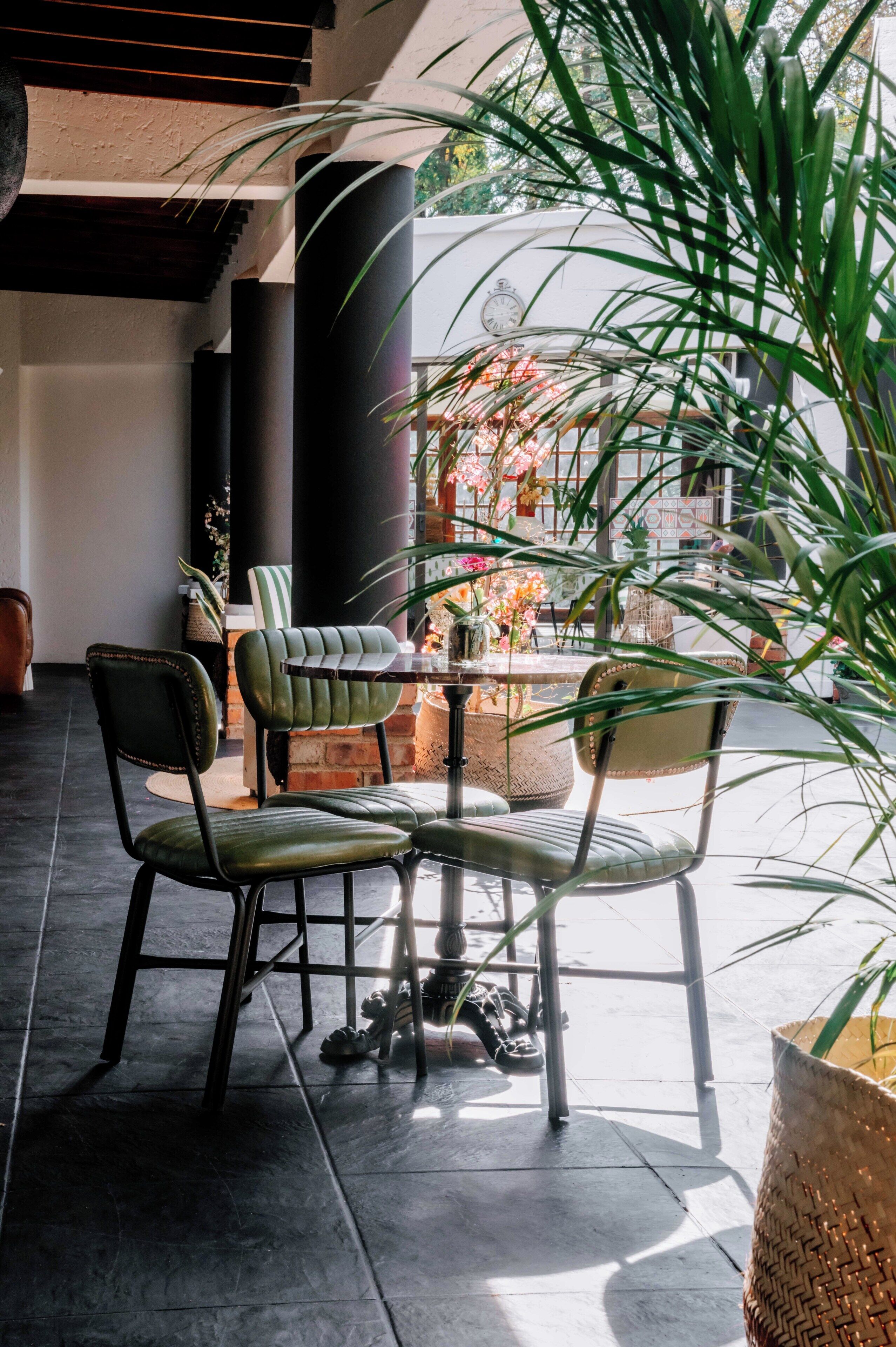 Una zona de estar con sillas y una mesa, rodeada de plantas en macetas y un muro decorativo.