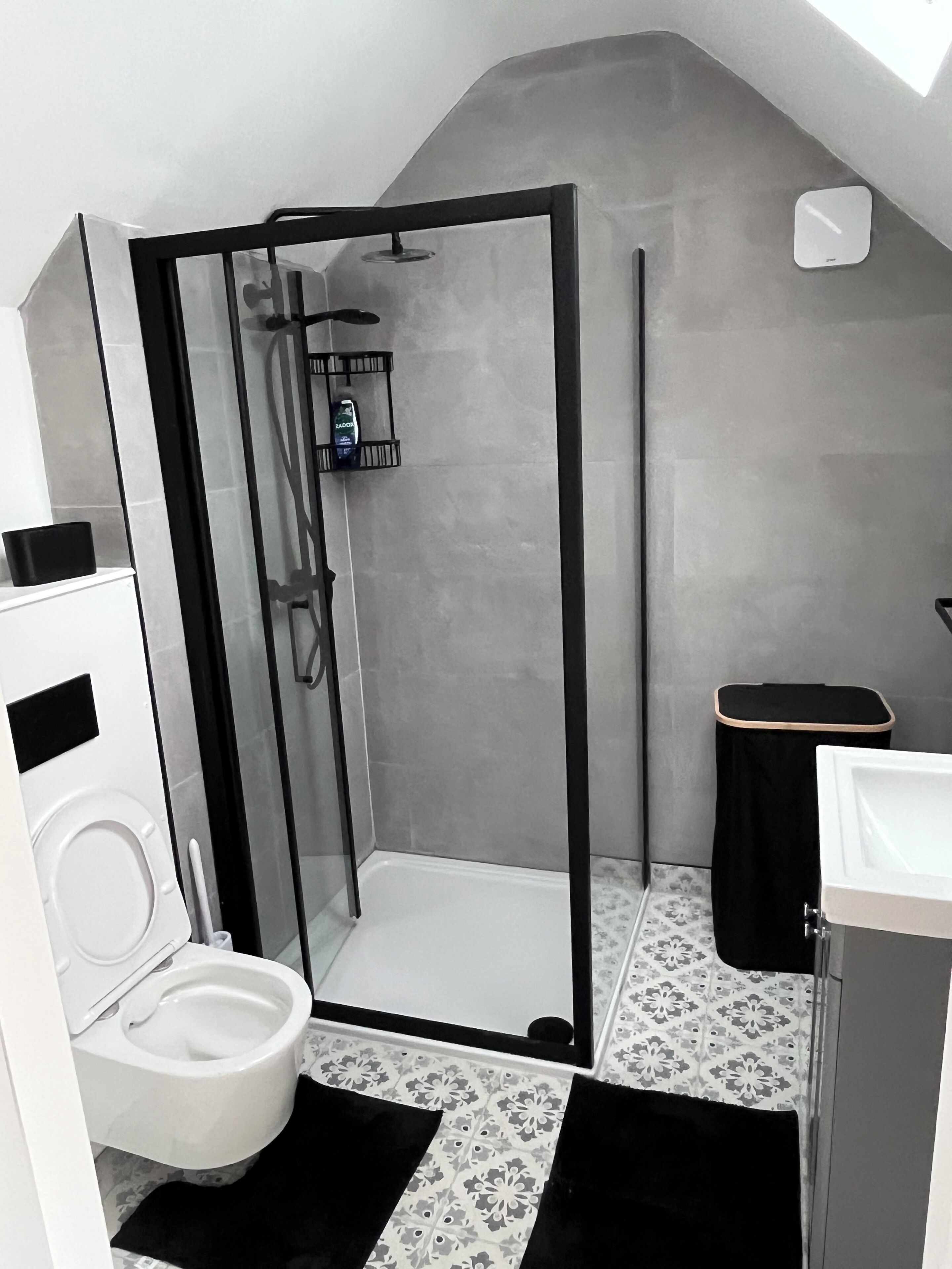 A modern bathroom with a glass-enclosed shower, a toilet, and a sink.