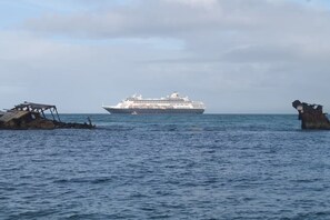 Ein Kreuzfahrtschiff auf dem Meer unter einem bewölkten Himmel.