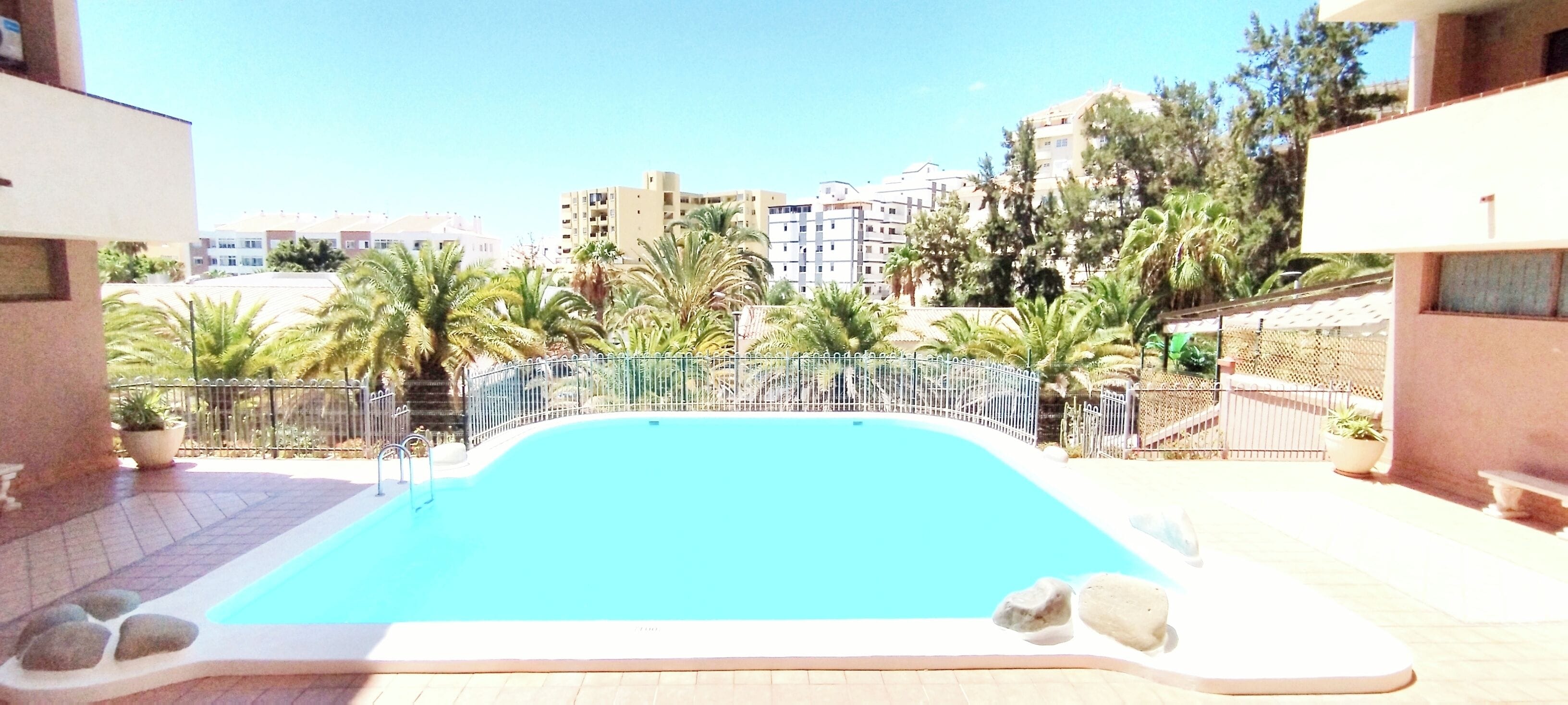 A swimming pool with a surrounding fence, palm trees, and buildings in the background.