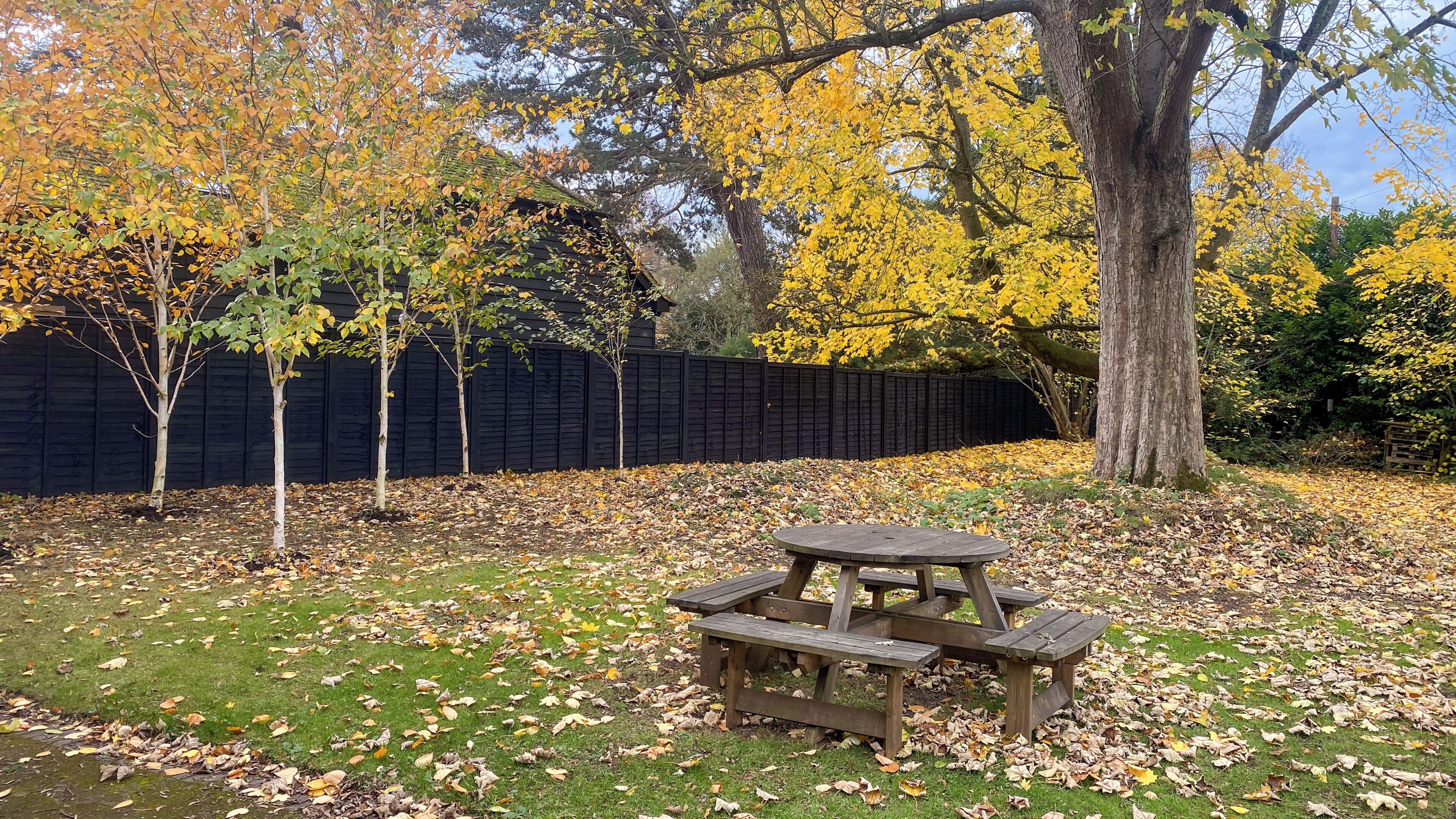 Een picknicktafel in een tuin met bomen en een zwarte schutting.