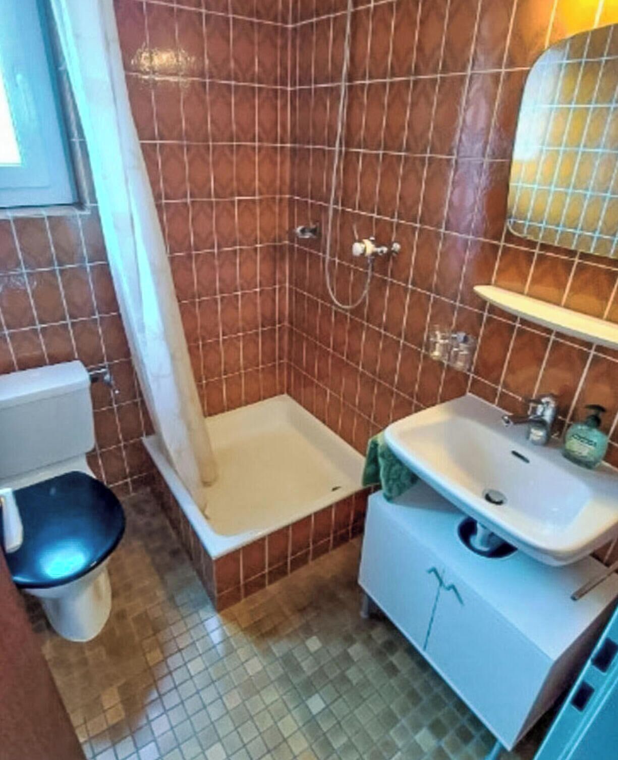 Une salle de bain avec des toilettes, une douche et un lavabo.