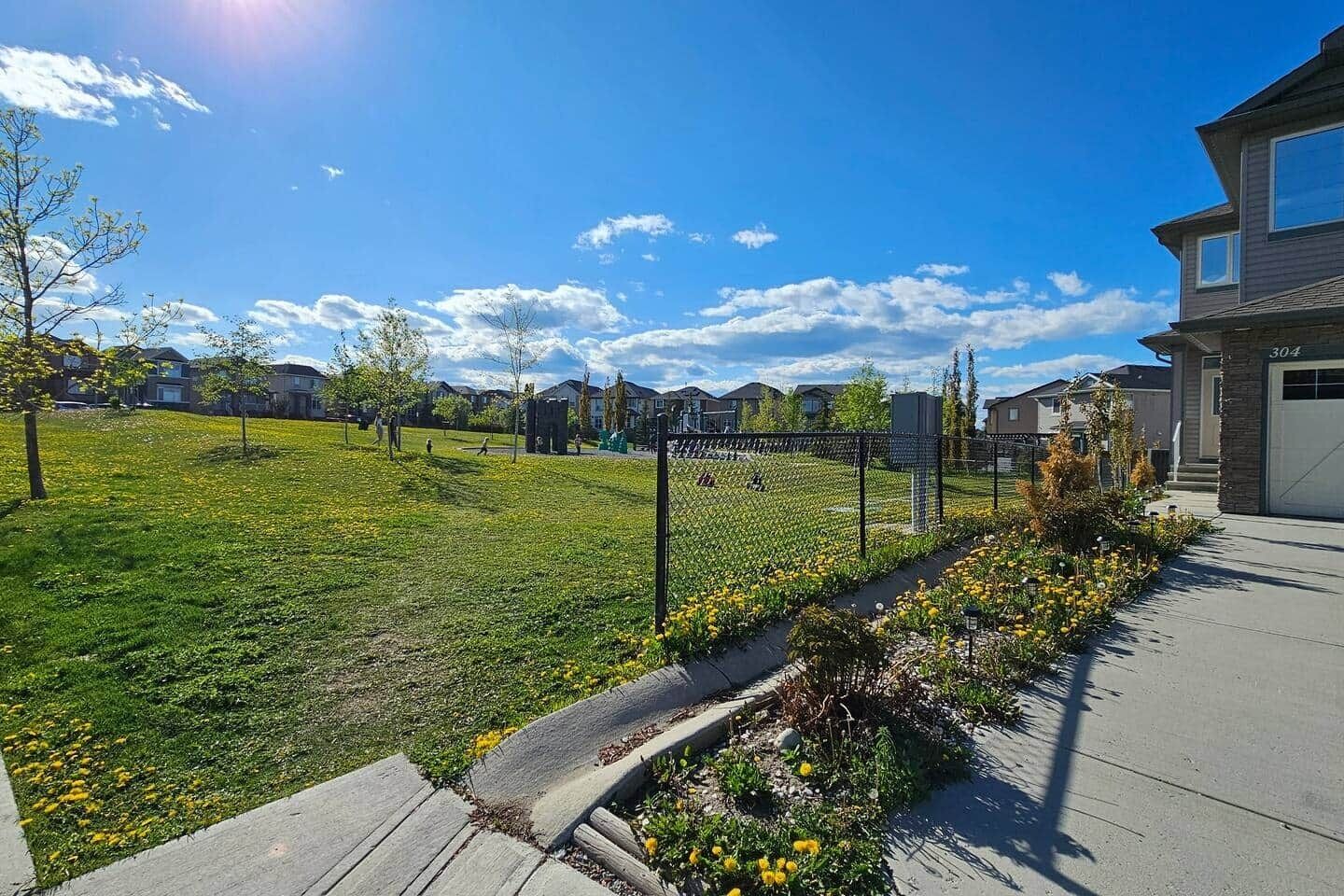 A residential area with a grassy lawn, a paved walkway, and houses in the background.