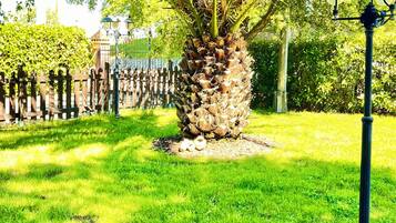 A well-maintained garden with a palm tree, a stone planter, and a paved walkway.