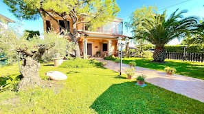 A house with a paved pathway leading to a covered porch, surrounded by well-maintained grass and various potted plants.
