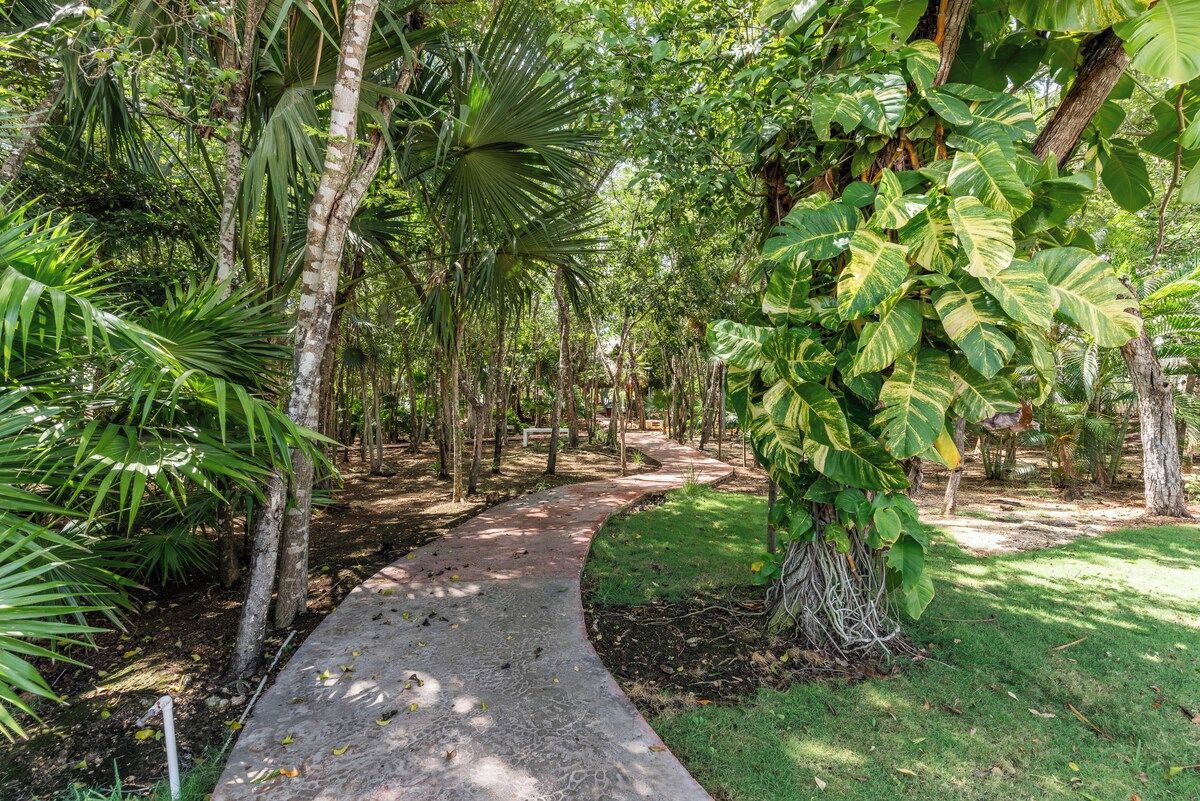 A pathway through a lush garden with various tropical plants and trees.