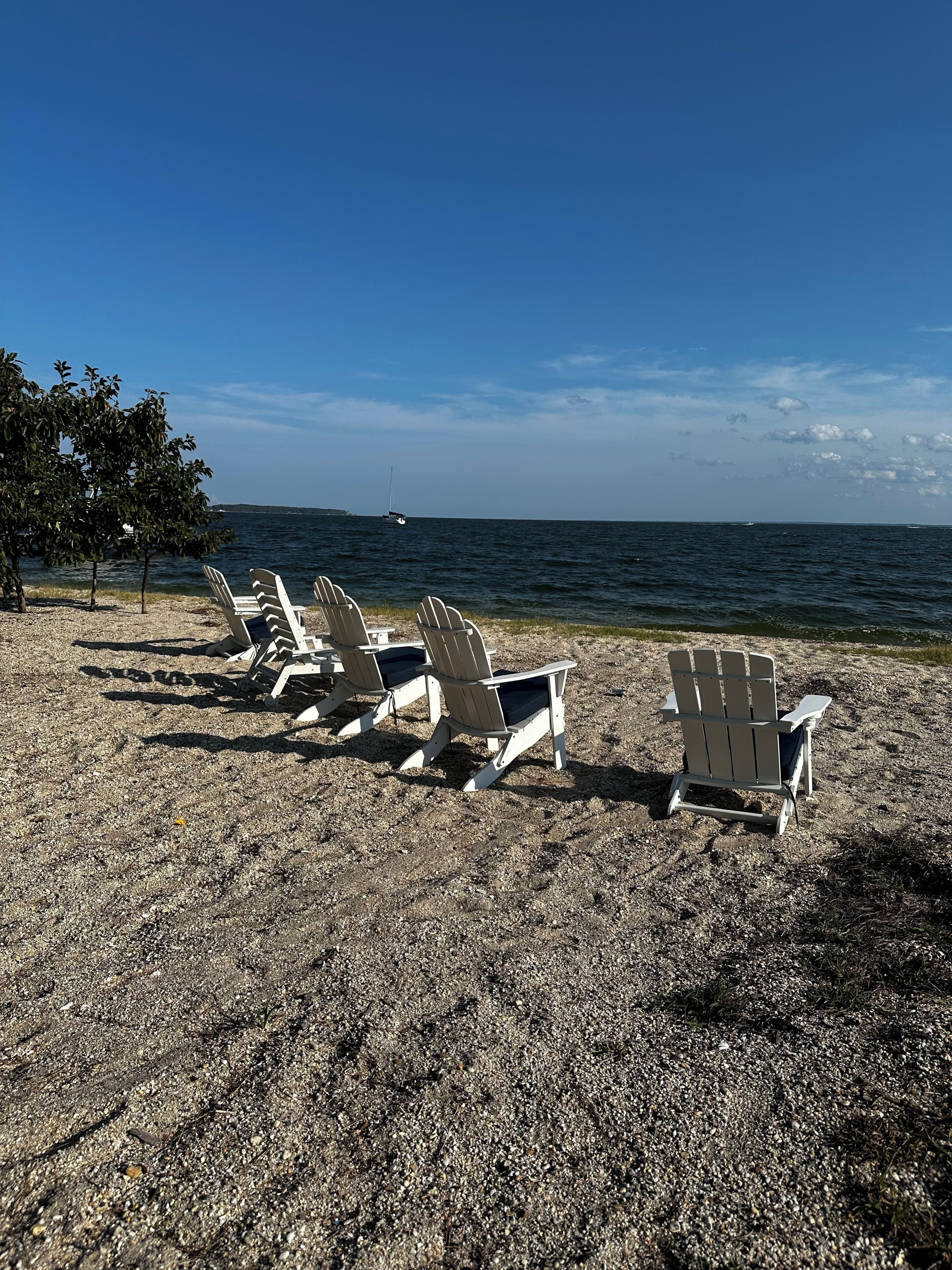 A beach with several Adirondack chairs lined up facing the ocean.