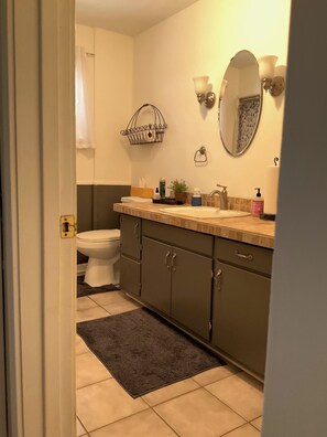 Bathroom - Lovely 3-bedroom house with AC in charming Manistee (Manistee)