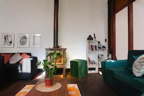 A living room with a black sofa, a green sofa, a coffee table with a plant, a bookshelf, and a fireplace. - Gatalegre Guesthouse (Valparaíso)