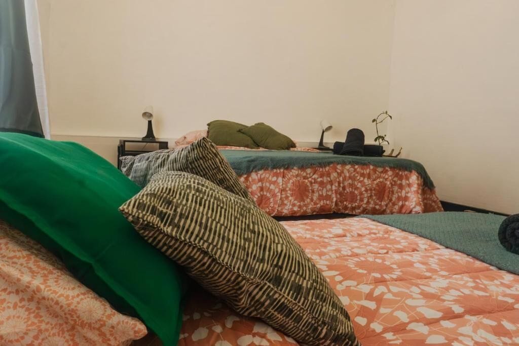 A room with two beds, each with a different patterned bedspread. There is a small table with a lamp and a plant on it.