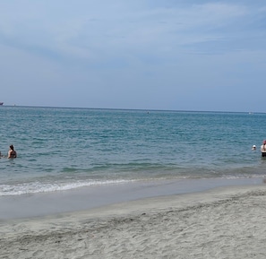 Ein Strand mit ruhigem Wasser und blauem Himmel.