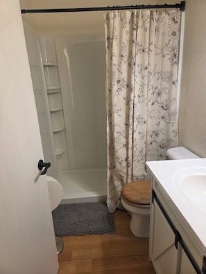 Een badkamer met toilet, douche en een houten deur.