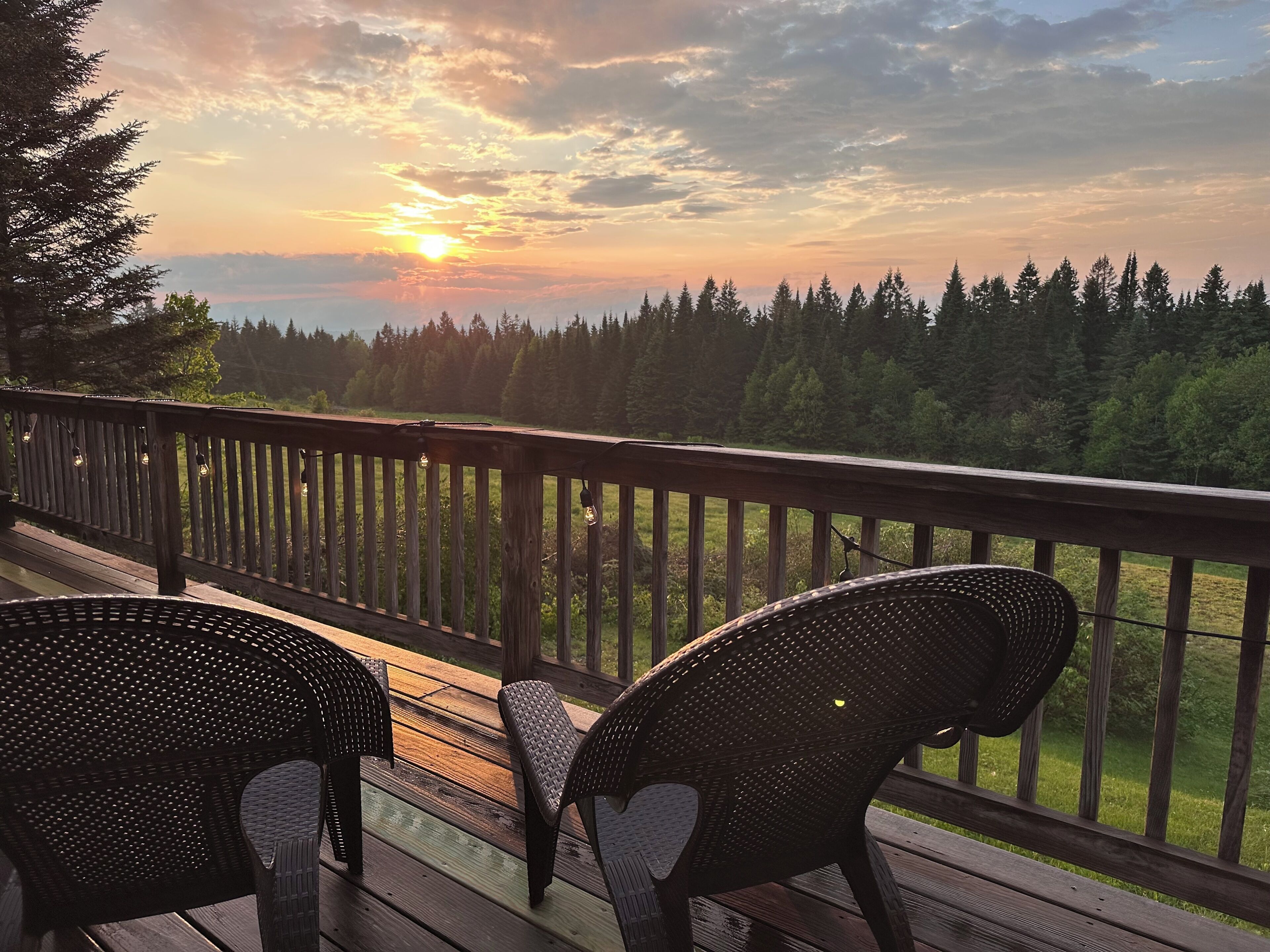 Une terrasse en bois, dotée de chaises en osier, qui offre une vue sur un paysage boisé.