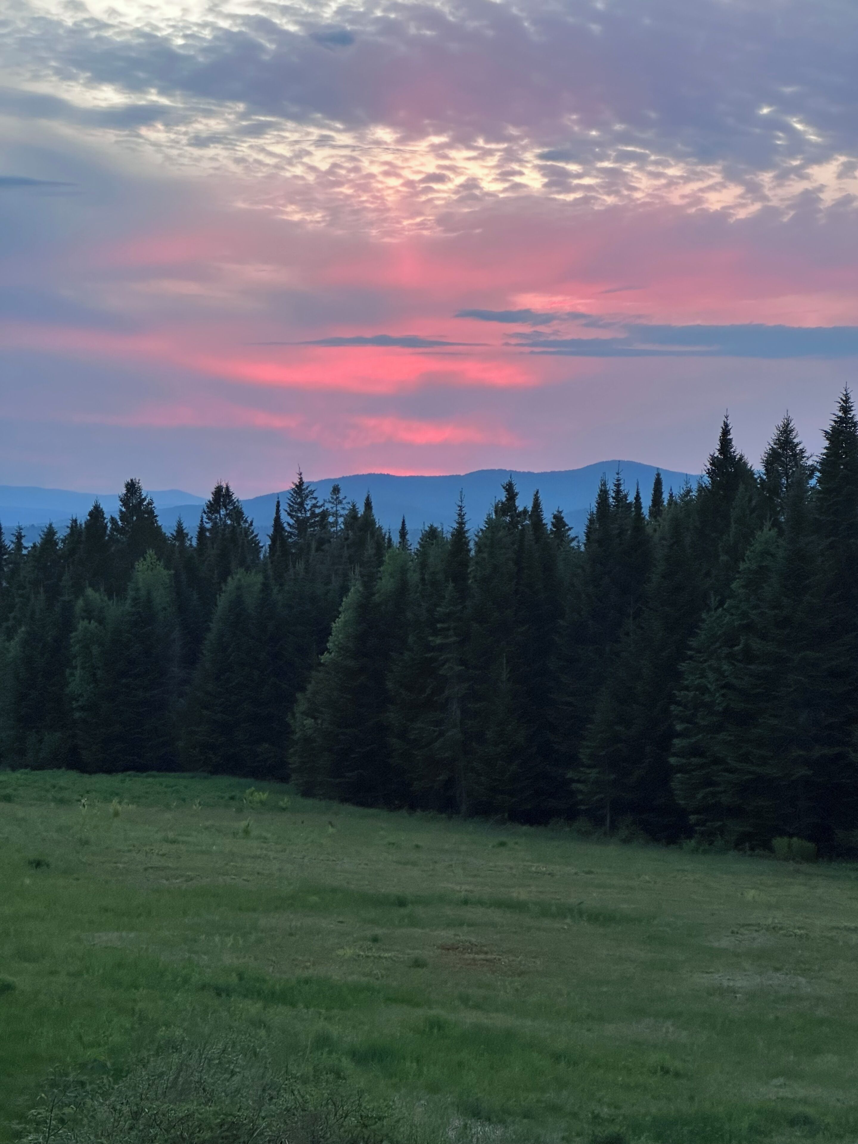 A natural landscape with a field, a forest, and a mountain range in the distance.